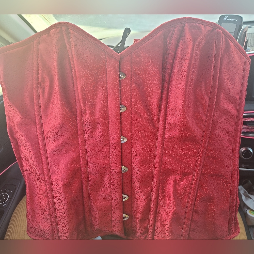 Hips and Curves Overbust Corset sz 36